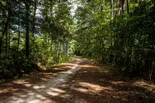 0 Tuten Rd, Round O, SC 29474 - Photo 21