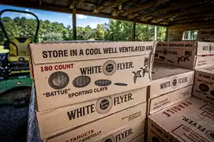 0 Tuten Rd, Round O, SC 29474 - Photo 17