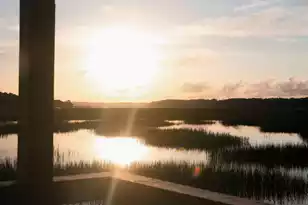 3881 Summerton St, Mount Pleasant, SC 29466 - Photo 49