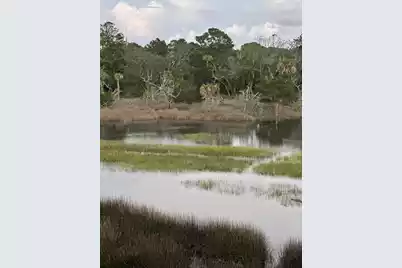 8 Seagrass Lane, Isle Of Palms, SC 29451 - Photo 49