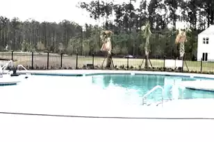 3005 Dalmore Dr, Ravenel, SC 29470 - Photo 19