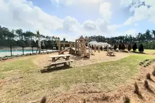 3005 Dalmore Dr, Ravenel, SC 29470 - Photo 17