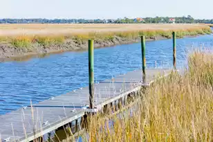 1604 John Fenwick Ln, Johns Island, SC 29455 - Photo 9