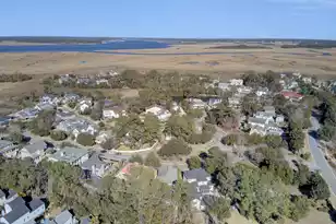 368 Evian Way, Mount Pleasant, SC 29464 - Photo 57