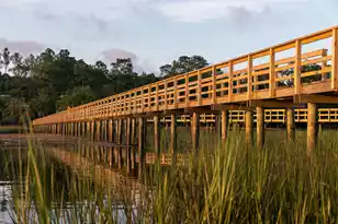 3917 Delinger Dr, Mount Pleasant, SC 29466 - Photo 49