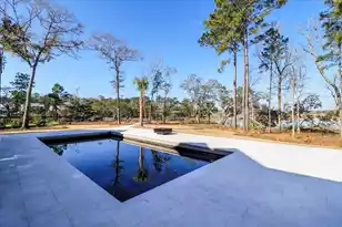 3917 Delinger Dr, Mount Pleasant, SC 29466 - Photo 47