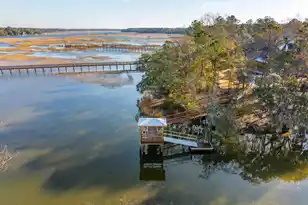 3917 Delinger Dr, Mount Pleasant, SC 29466 - Photo 69