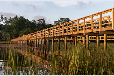 3917 Delinger Drive, Mount Pleasant, SC 29466 - Photo 37