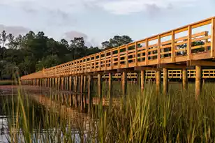 3917 Delinger Dr, Mount Pleasant, SC 29466 - Photo 37