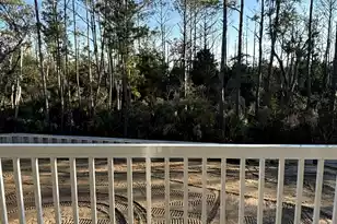 1742 Cultivation Ln, Mount Pleasant, SC 29466 - Photo 19