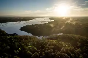 3897 Summerton St, Mount Pleasant, SC 29466 - Photo 39