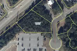 2010 Wambaw Crk Rd, Charleston, SC 29492 - Photo 1