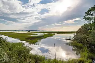 185 Wappoo Rd, Charleston, SC 29407 - Photo 11