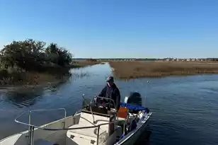 185 Wappoo Rd, Charleston, SC 29407 - Photo 5