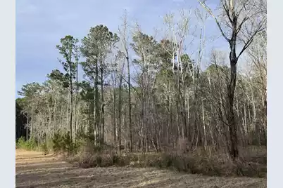 536 Bertha Lane, Huger, SC 29450 - Photo 7