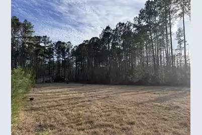 536 Bertha Lane, Huger, SC 29450 - Photo 3