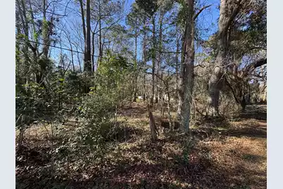 2040 River Road, Johns Island, SC 29455 - Photo 3