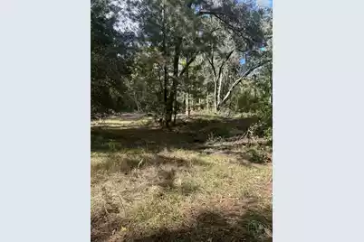 7887 Mary Seabrook Road, Edisto Island, SC 29438 - Photo 37