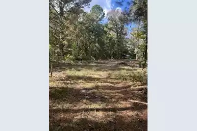 7887 Mary Seabrook Road, Edisto Island, SC 29438 - Photo 33