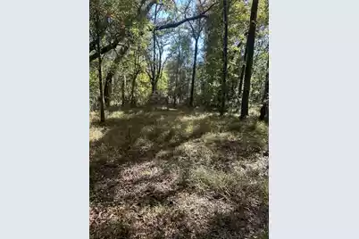 7887 Mary Seabrook Road, Edisto Island, SC 29438 - Photo 39
