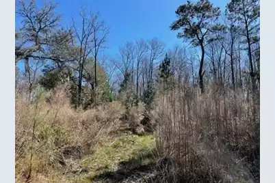 7887 Mary Seabrook Road, Edisto Island, SC 29438 - Photo 11