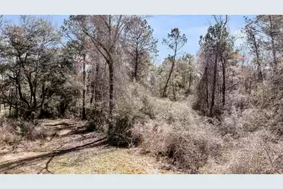 7887 Mary Seabrook Road, Edisto Island, SC 29438 - Photo 3