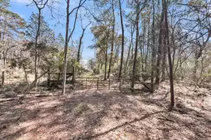 7887 Mary Seabrook Rd, Edisto Island, SC 29438 - Photo 1