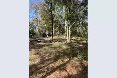 7887 Mary Seabrook Road, Edisto Island, SC 29438 - Photo 43