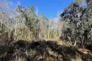 00 Hwy 17 N, McClellanville, SC 29458 - Photo 19