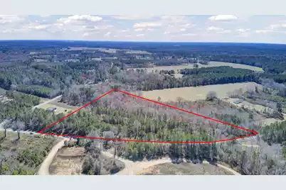 0 First Bend Road, Harleyville, SC 29448 - Photo 3