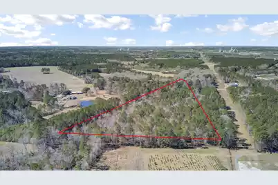 0 Hickory Nut Drive, Harleyville, SC 29448 - Photo 1