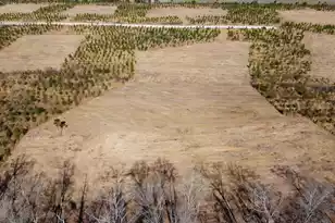 8 Hwy 6, Cross, SC 29436 - Photo 1