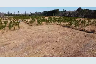 8 Hwy 6, Cross, SC 29436 - Photo 5