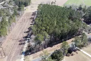 0 Mail Route Rd, Bonneau, SC 29431 - Photo 1