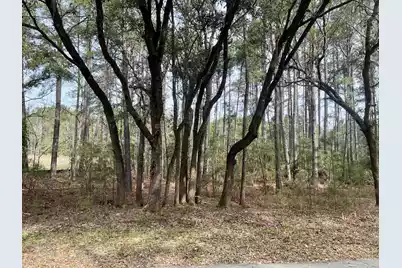 237 Founders Oak Way, Yemassee, SC 29945 - Photo 3