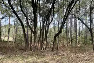 237 Founders Oak Wy, Yemassee, SC 29945 - Photo 3