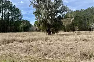 413 Somerset Dr, Yemassee, SC 29945 - Photo 5