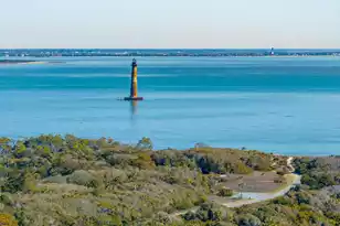 1699 Ashley Ave E, Folly Beach, SC 29439 - Photo 11