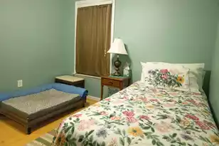 16 Baldwin Ln, Green Pond, SC 29446 - Photo 29