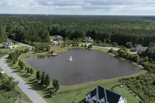 1329 Wood Sorrel Dr, Moncks Corner, SC 29461 - Photo 45