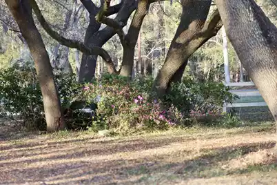 4559 Smoak Road, Meggett, SC 29449 - Photo 23