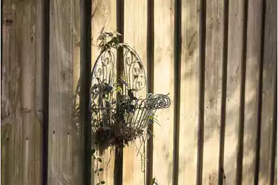 4559 Smoak Road, Meggett, SC 29449 - Photo 21