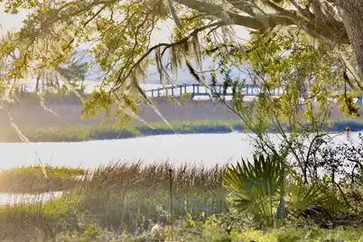 4559 Smoak Road, Meggett, SC 29449 - Photo 31