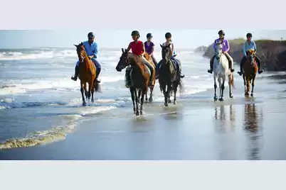 2515 Cat Tail Pond Road, Seabrook Island, SC 29455 - Photo 109