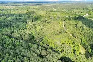 13959 Cottageville Hwy, Cottageville, SC 29435 - Photo 25