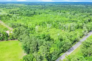 13959 Cottageville Hwy, Cottageville, SC 29435 - Photo 43