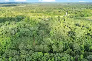 13959 Cottageville Hwy, Cottageville, SC 29435 - Photo 31