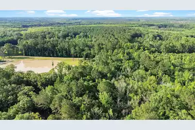 13959 Cottageville Highway, Cottageville, SC 29435 - Photo 5