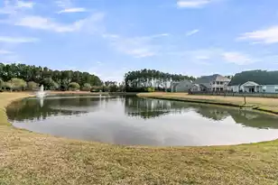 219 Daybreak Blvd, Summerville, SC 29486 - Photo 45