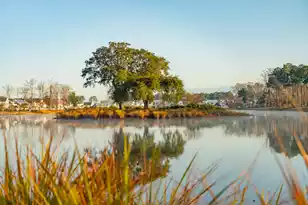 3893 Summerton St, Mount Pleasant, SC 29466 - Photo 43